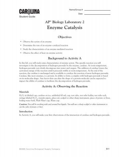 Ap biology lab manual pdf